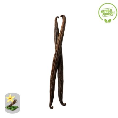 Bourbon Vanilla